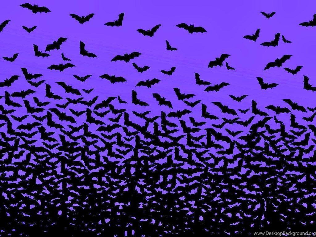 Bats Flying Wallpapers Top Free Bats Flying Backgrounds WallpaperAccess