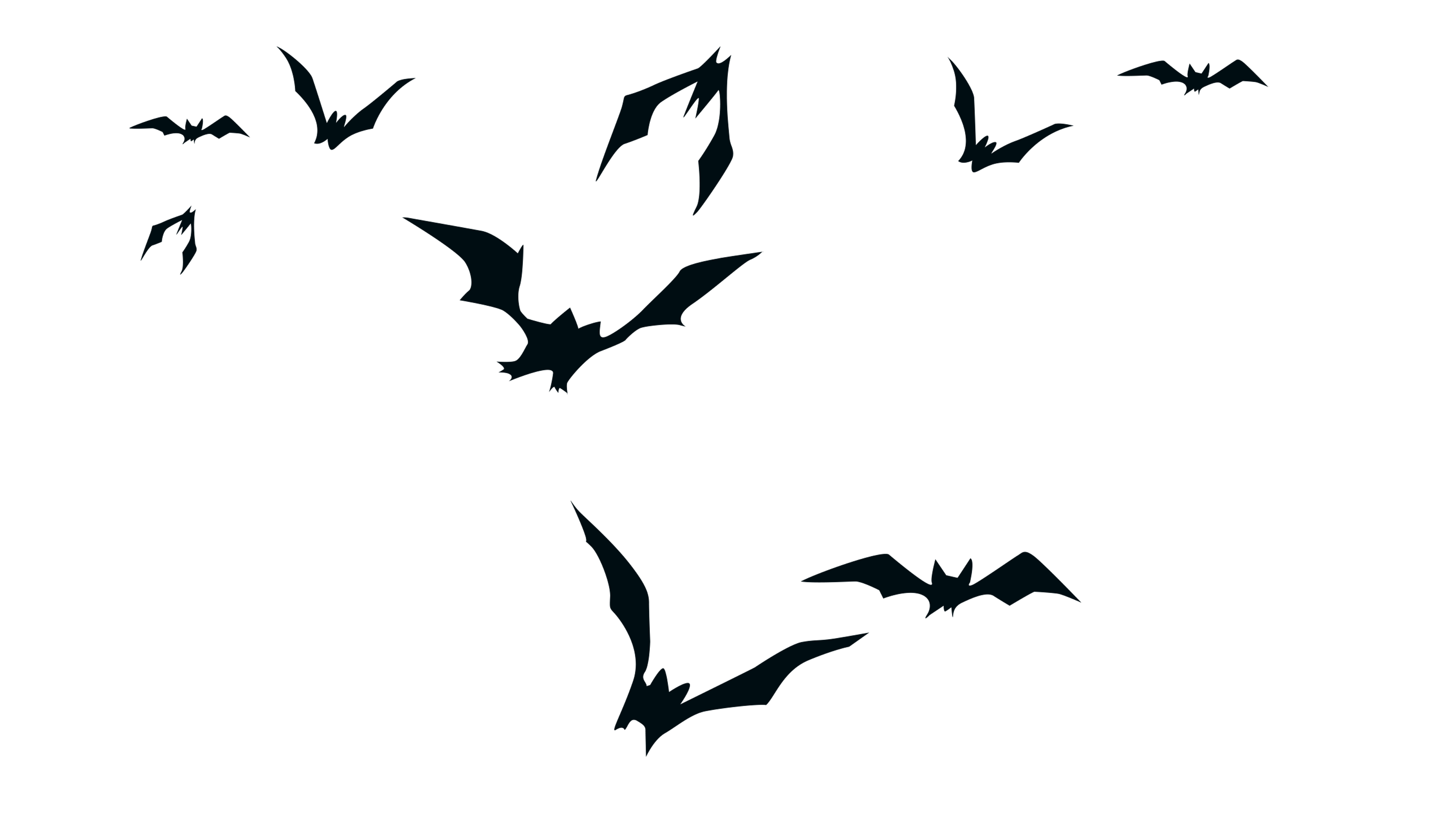 Bats Flying Wallpapers Top Free Bats Flying Backgrounds WallpaperAccess