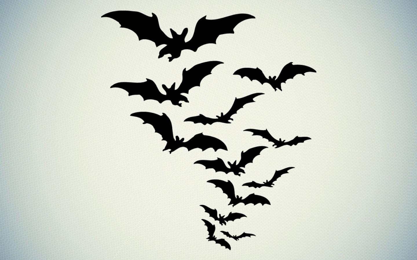 Bats Flying Wallpapers Top Free Bats Flying Backgrounds WallpaperAccess