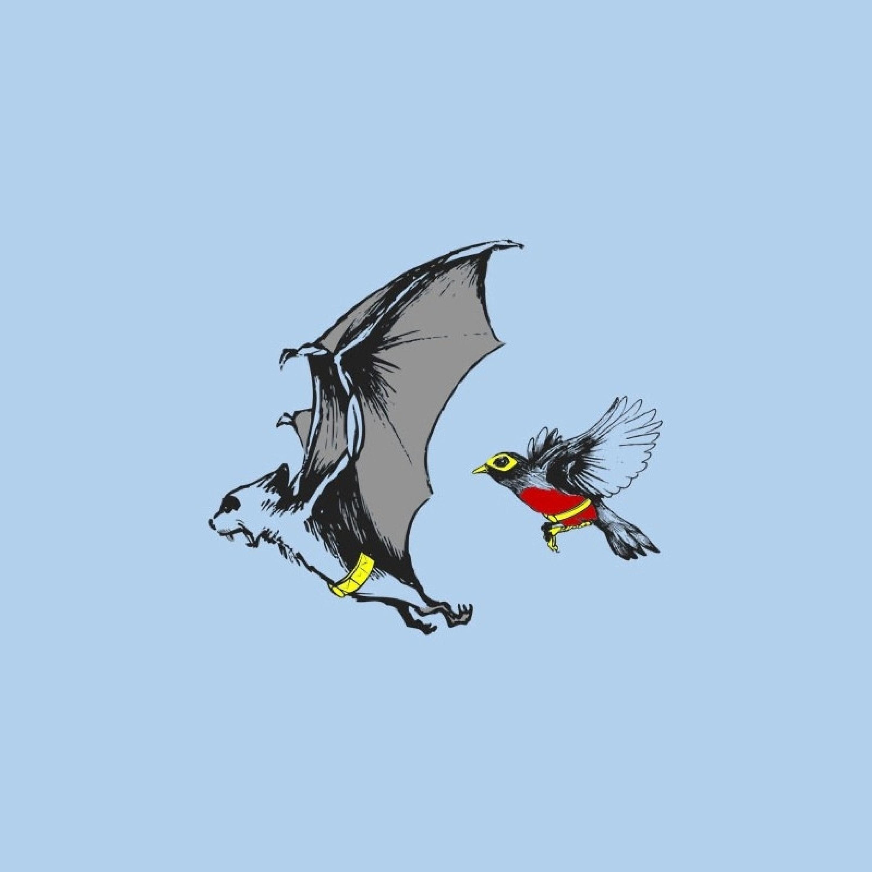 Bats Flying Wallpapers Top Free Bats Flying Backgrounds WallpaperAccess