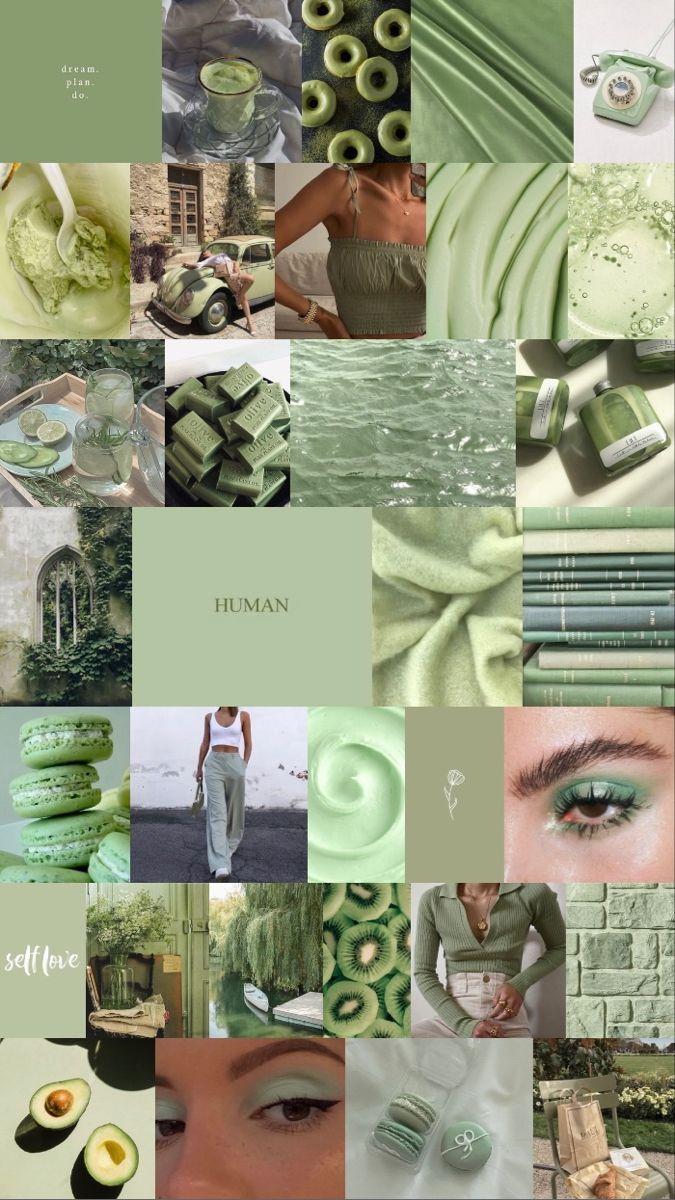 Sage Green Collage Wallpapers Top Free Sage Green Collage Backgrounds