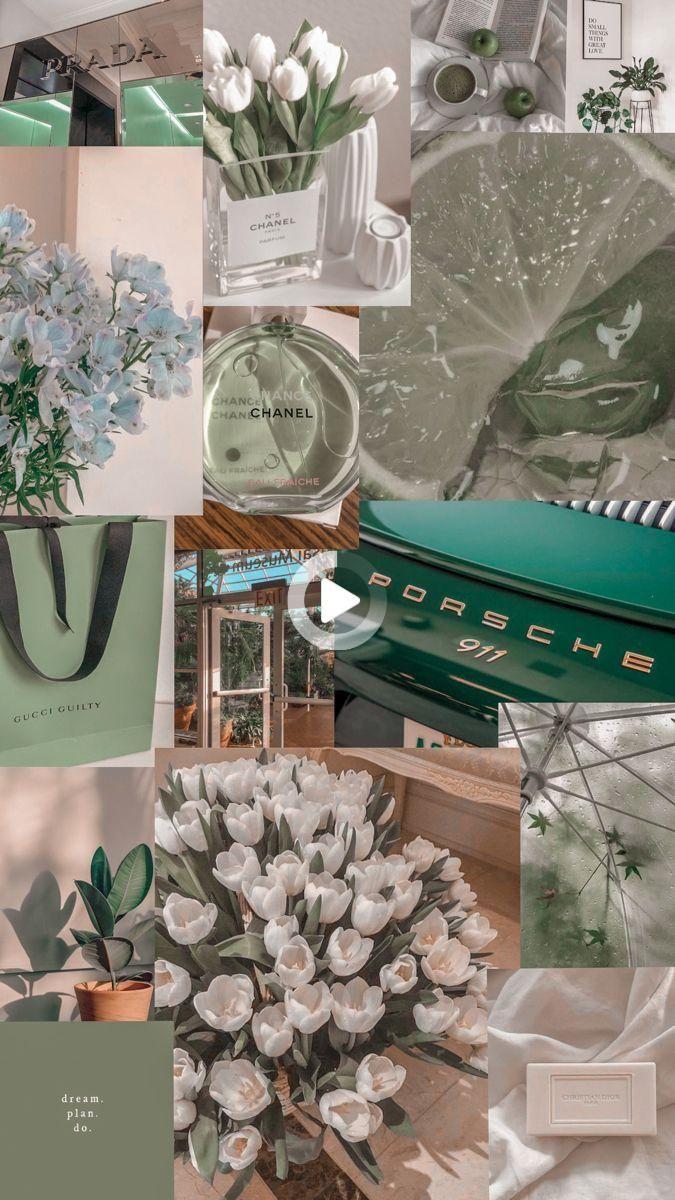 Sage Green Collage Wallpapers Top Free Sage Green Collage Backgrounds