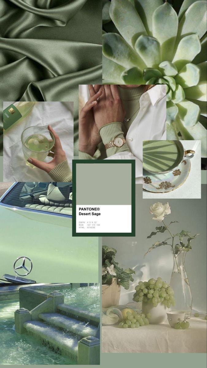 Sage Green Collage Wallpapers Top Free Sage Green Collage Backgrounds