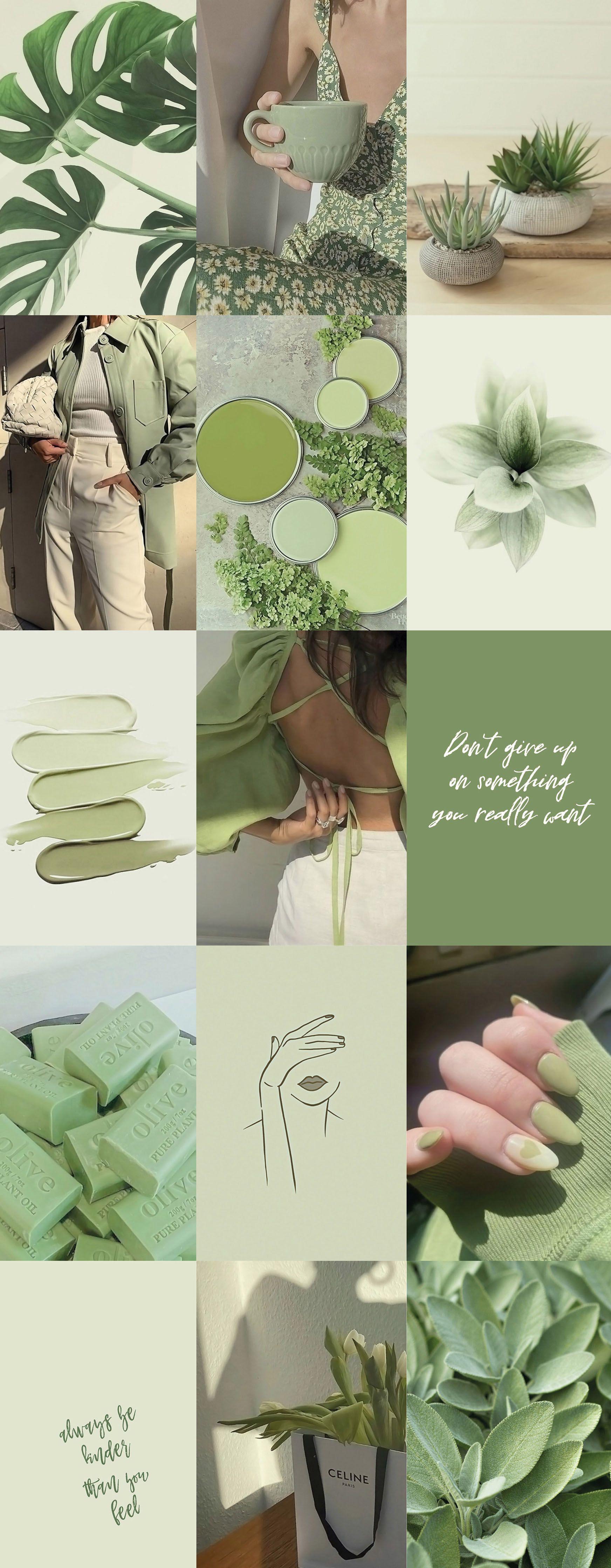 Sage Green Collage Wallpapers Top Free Sage Green Collage Backgrounds