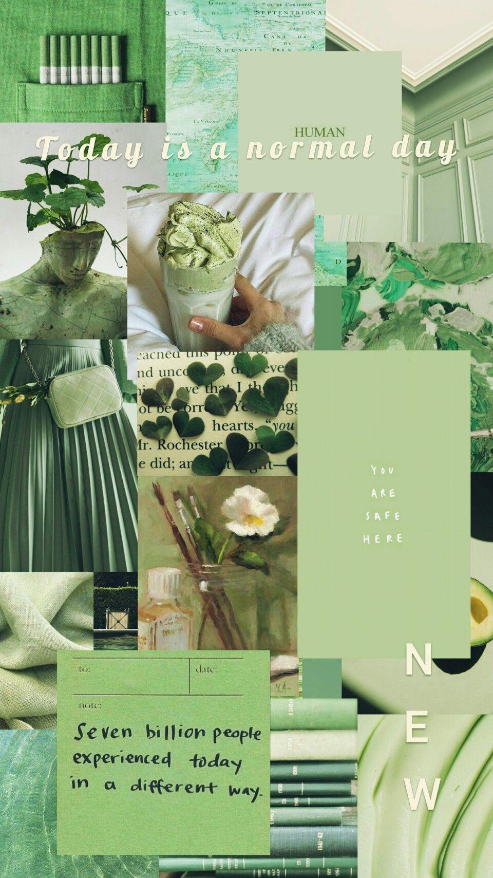 Sage Green Collage Wallpapers Top Free Sage Green Collage Backgrounds