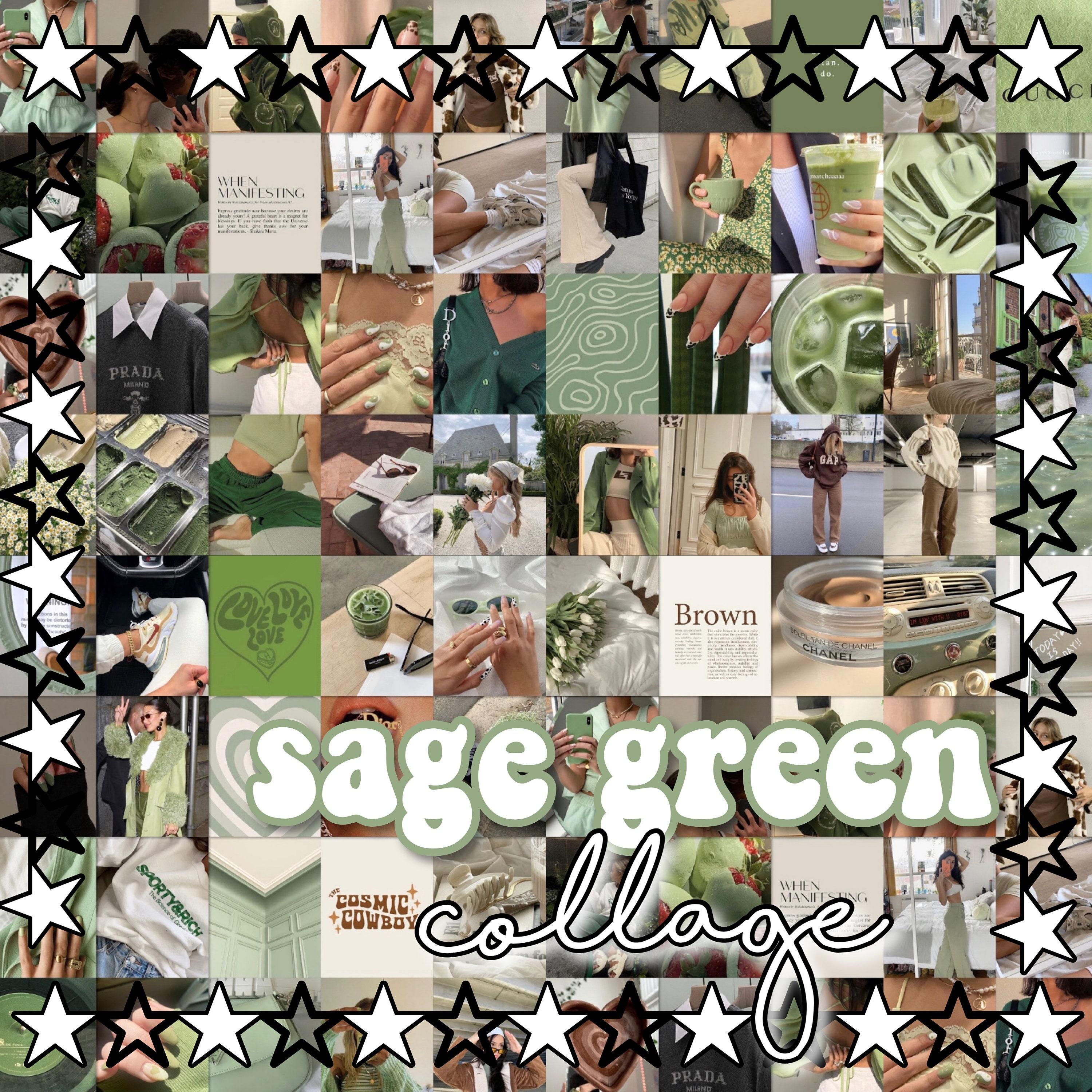 Sage Green Collage Wallpapers Top Free Sage Green Collage Backgrounds