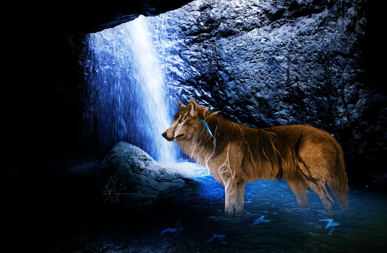Wolf and Lion Wallpapers Top Free Wolf and Lion Backgrounds