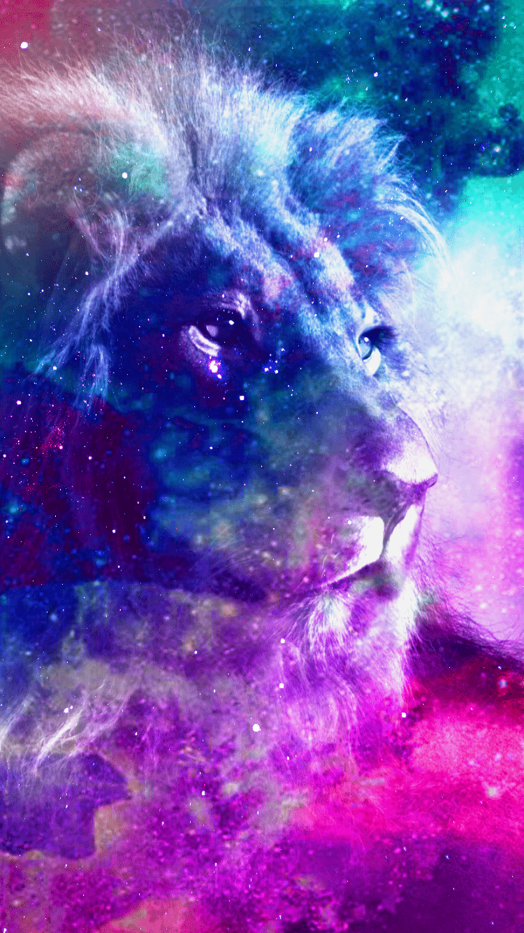 Wolf and Lion Wallpapers Top Free Wolf and Lion Backgrounds
