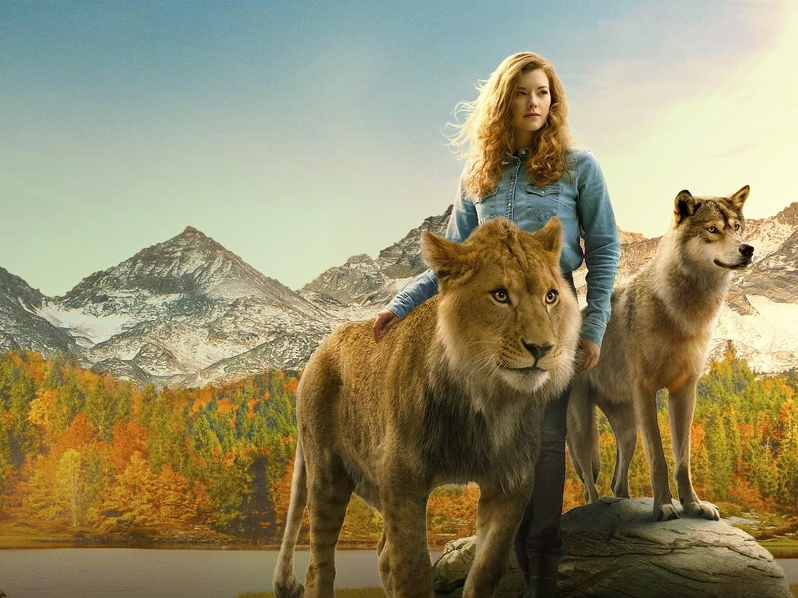 Wolf and Lion Wallpapers Top Free Wolf and Lion Backgrounds