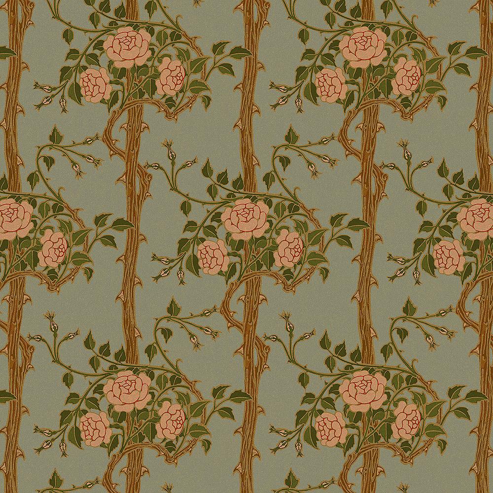 Wild Rose Wallpapers Top Free Wild Rose Backgrounds WallpaperAccess