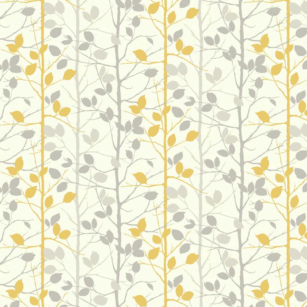 Gray Yellow Wallpapers Top Free Gray Yellow Backgrounds WallpaperAccess
