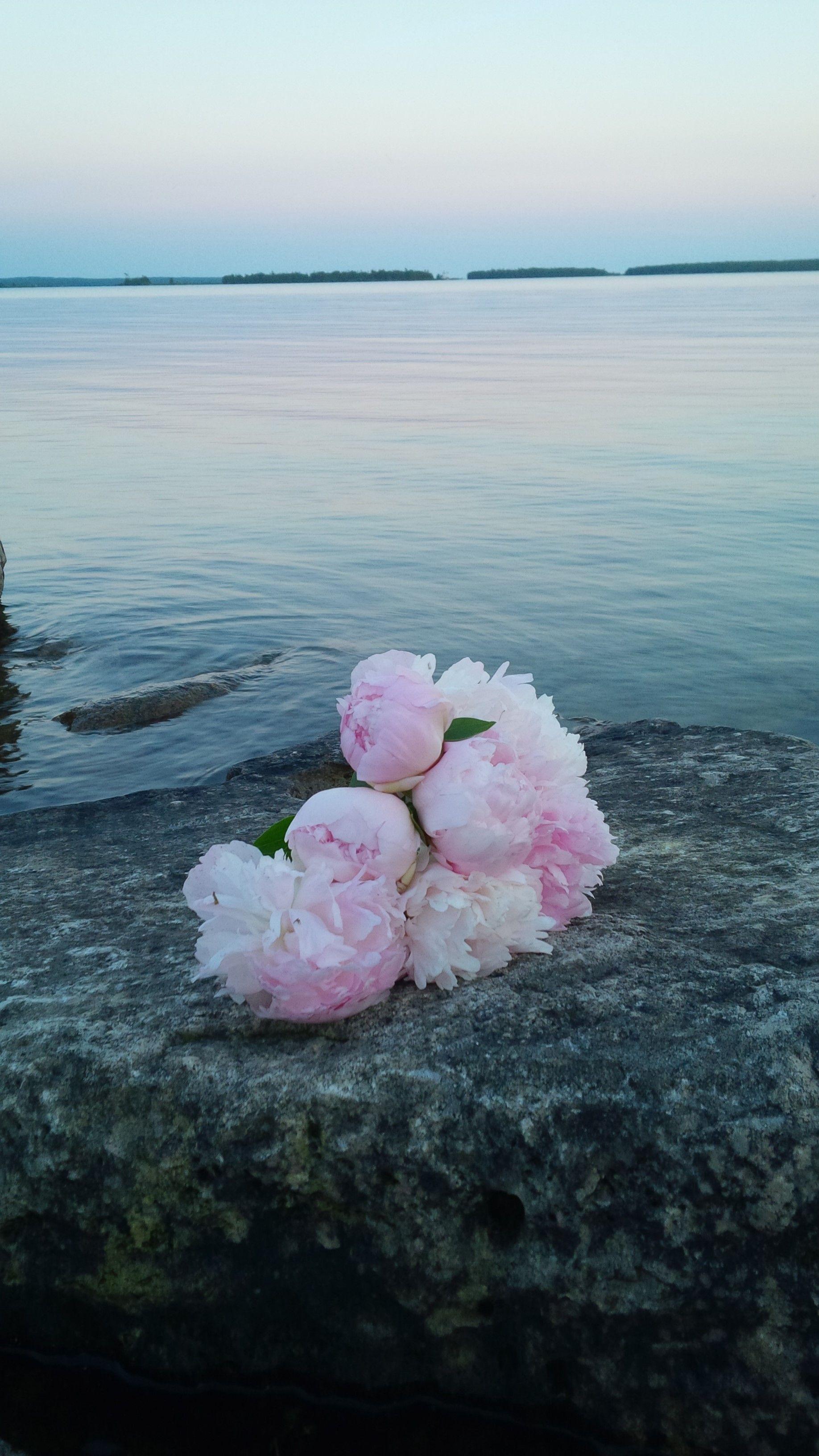 Peaceful Flowers Wallpapers Top Free Peaceful Flowers Backgrounds