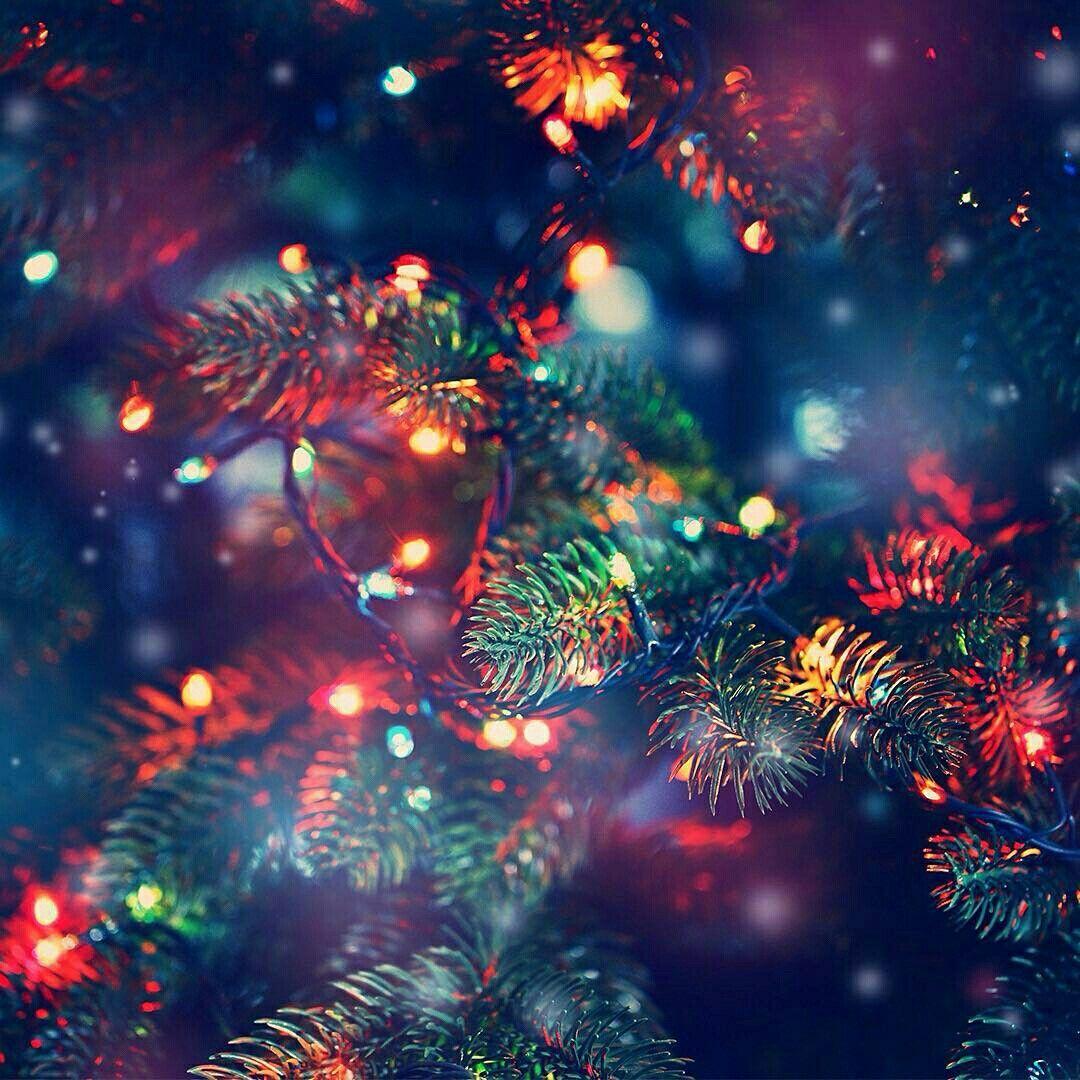 Washington DC Christmas Wallpapers Top Free Washington DC Christmas Backgrounds WallpaperAccess