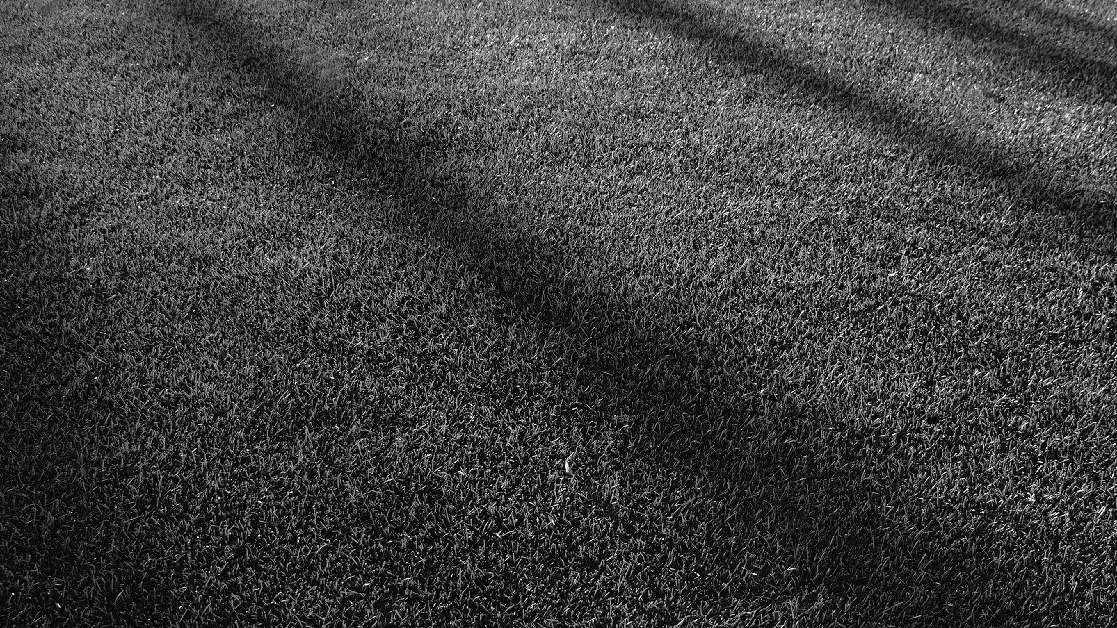 Black Grass Wallpapers Top Free Black Grass Backgrounds WallpaperAccess