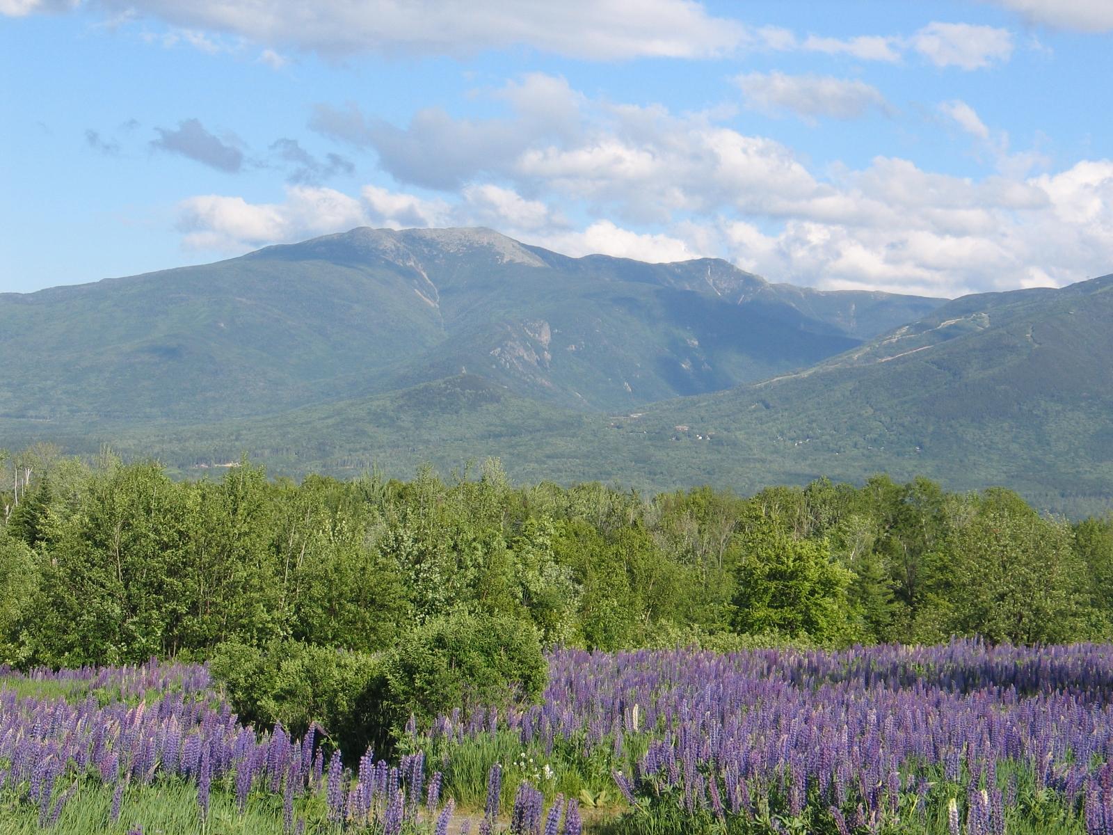 New England Spring Wallpapers Top Free New England Spring Backgrounds