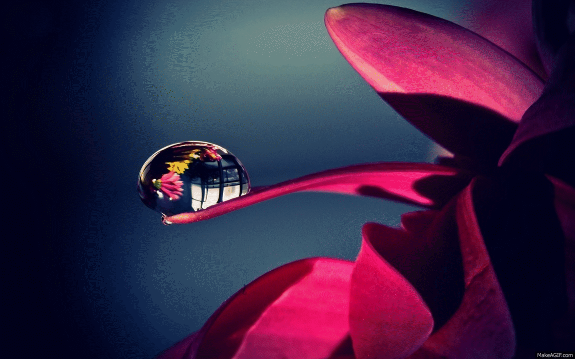 Pink Gif Wallpapers Top Free Pink Gif Backgrounds WallpaperAccess