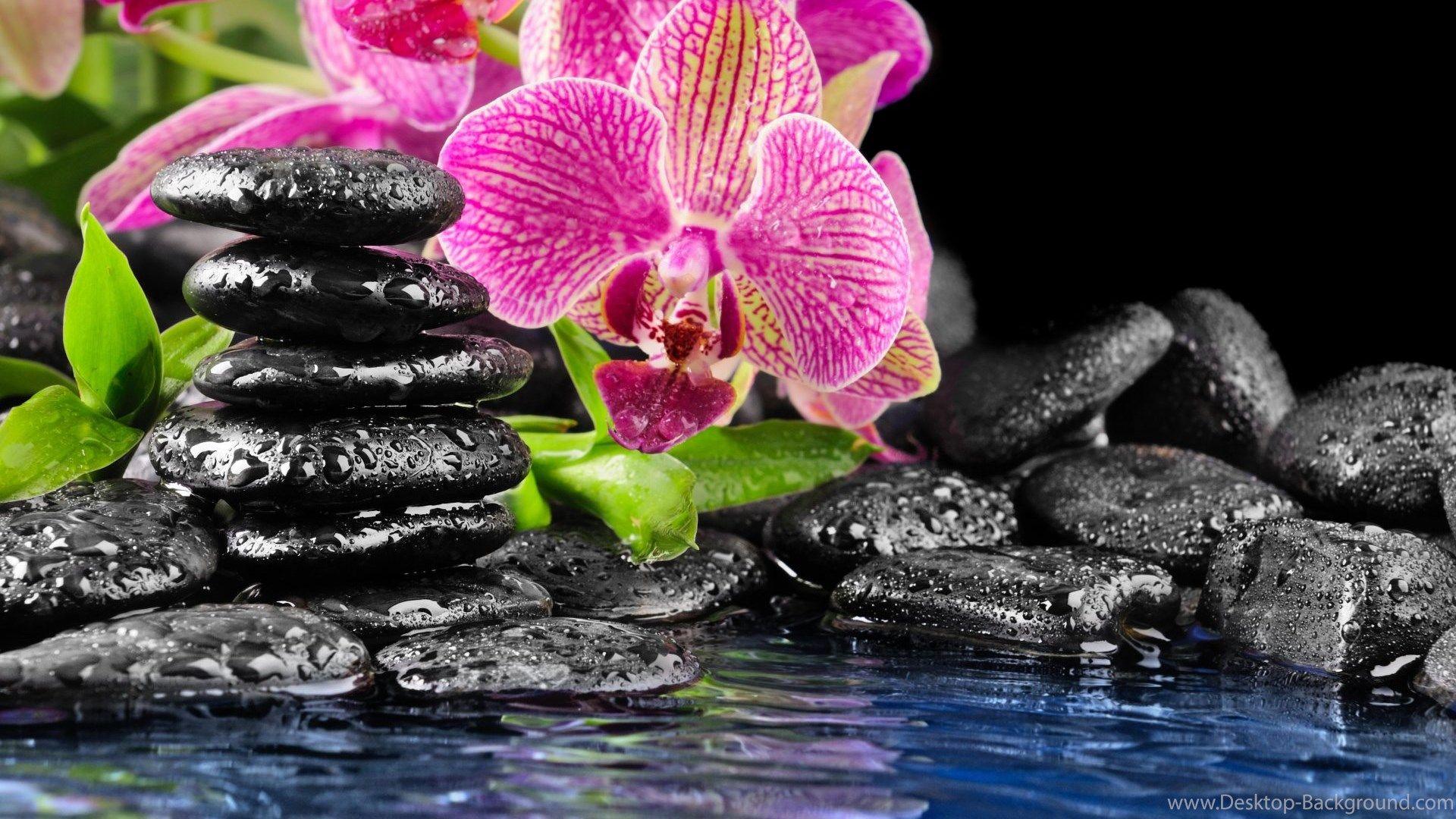 Zen Water Wallpapers Top Free Zen Water Backgrounds WallpaperAccess