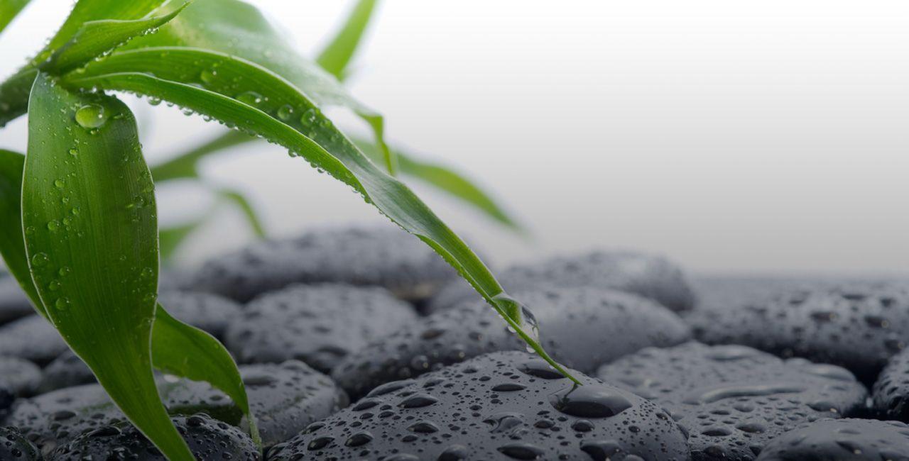 Zen Water Wallpapers Top Free Zen Water Backgrounds WallpaperAccess