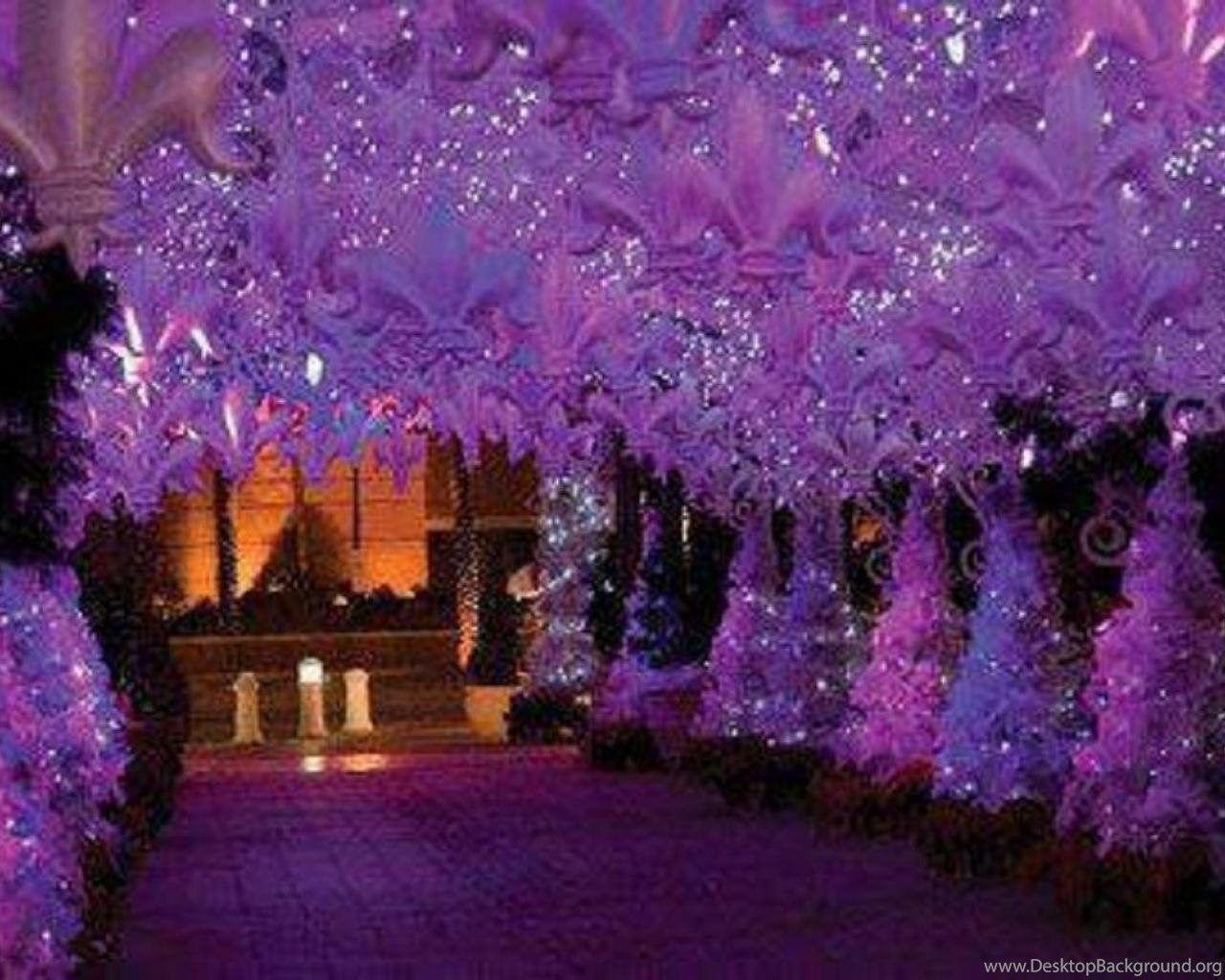 Magical Christmas Wallpapers Top Free Magical Christmas Backgrounds