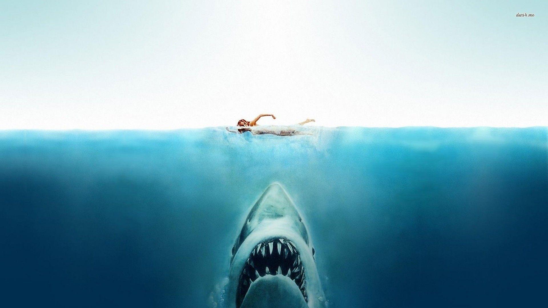 Jaws Wallpapers Top Free Jaws Backgrounds WallpaperAccess