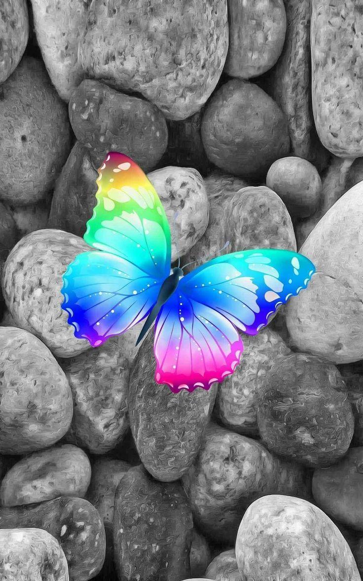 Cute Rainbow Animal Wallpapers Top Free Cute Rainbow Animal