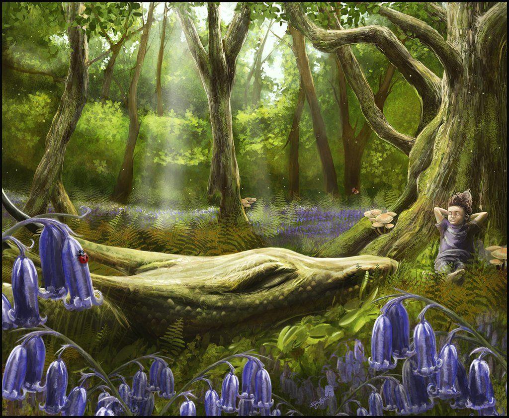 Sleeping Dragon Wallpapers Top Free Sleeping Dragon Backgrounds