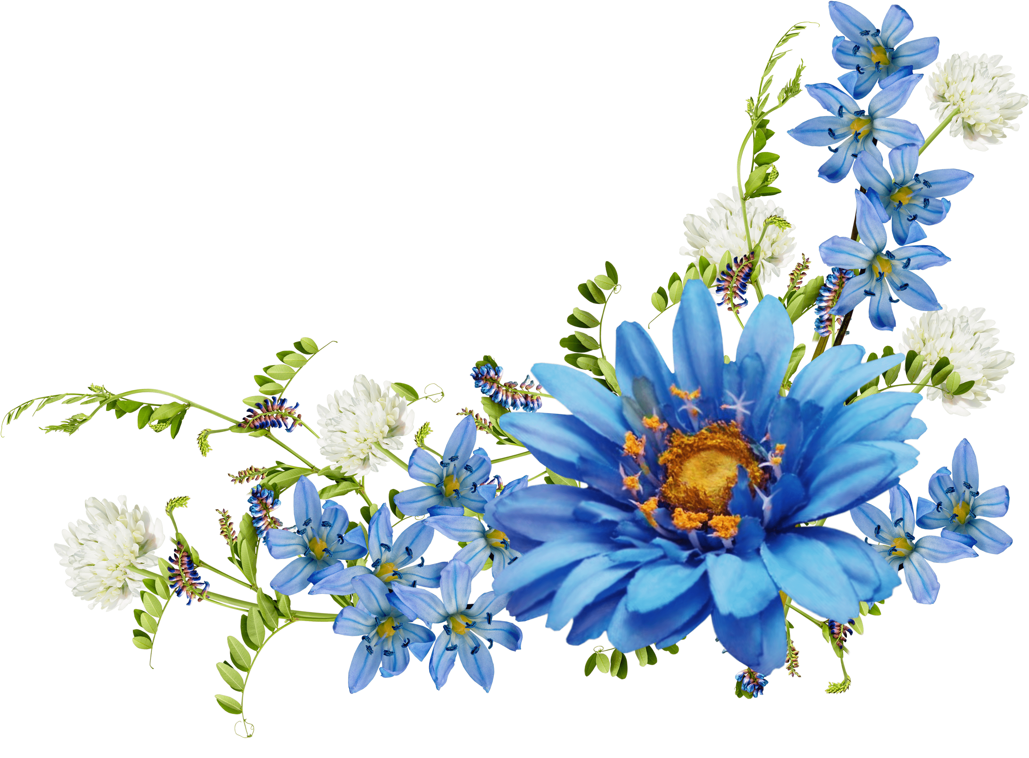 Blue Flower Border Wallpapers Top Free Blue Flower Border Backgrounds