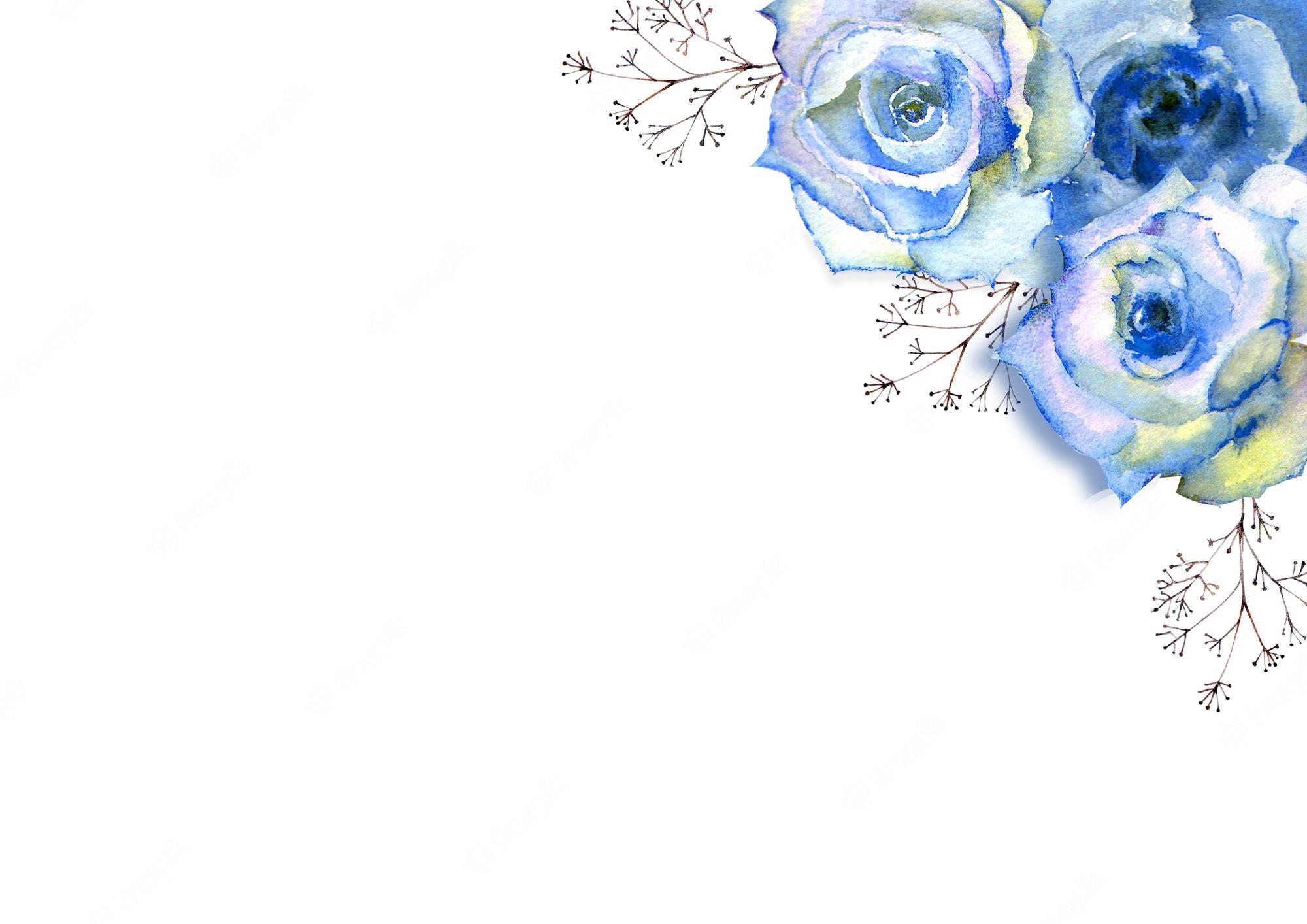 Blue Flower Border Wallpapers Top Free Blue Flower Border Backgrounds