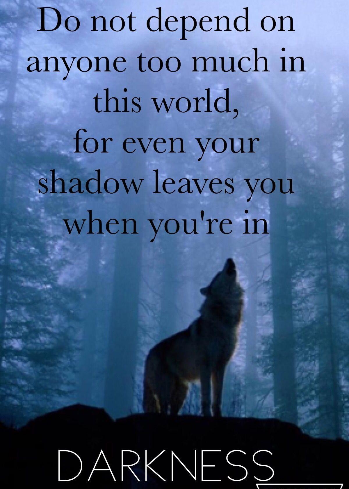 Wolf Quotes Wallpapers Top Free Wolf Quotes Backgrounds WallpaperAccess