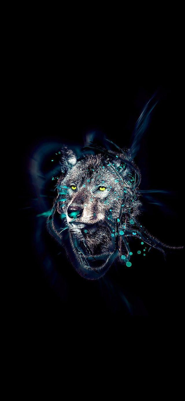 Black Wolf iPhone Wallpapers Top Free Black Wolf iPhone Backgrounds