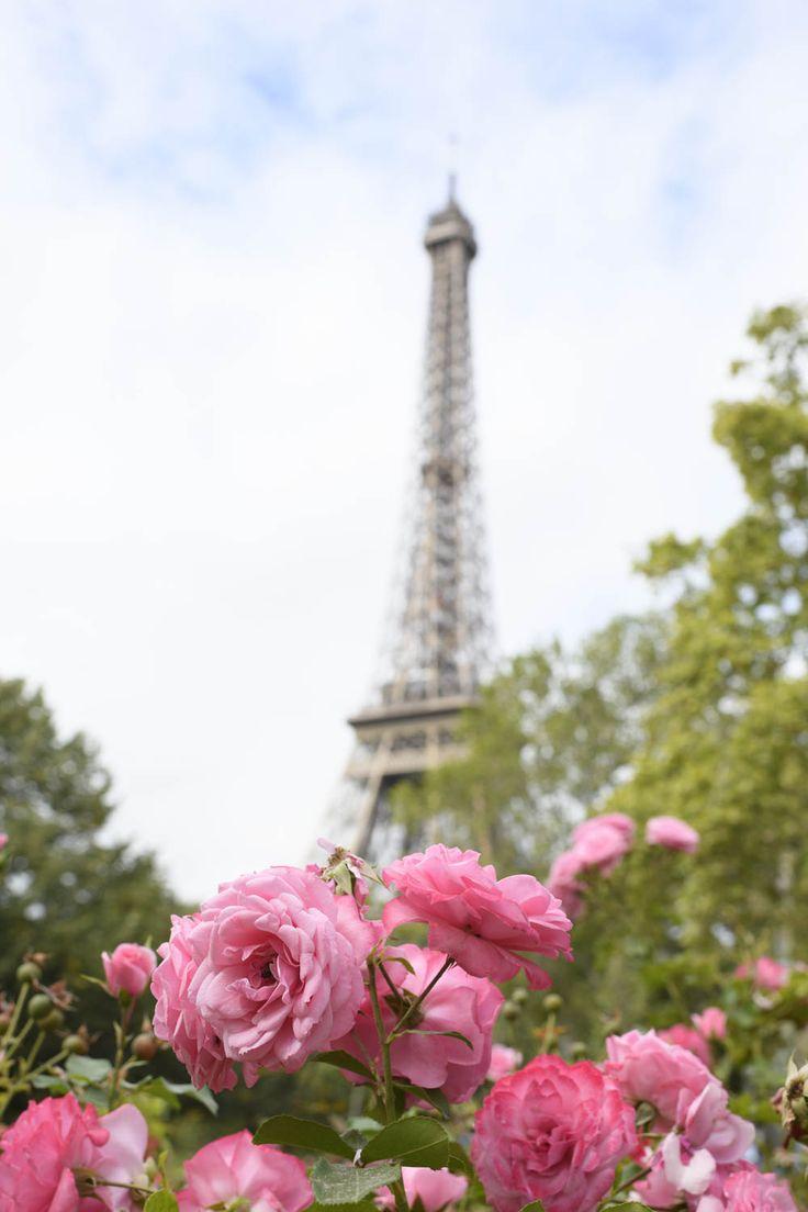Paris Floral Wallpapers Top Free Paris Floral Backgrounds WallpaperAccess