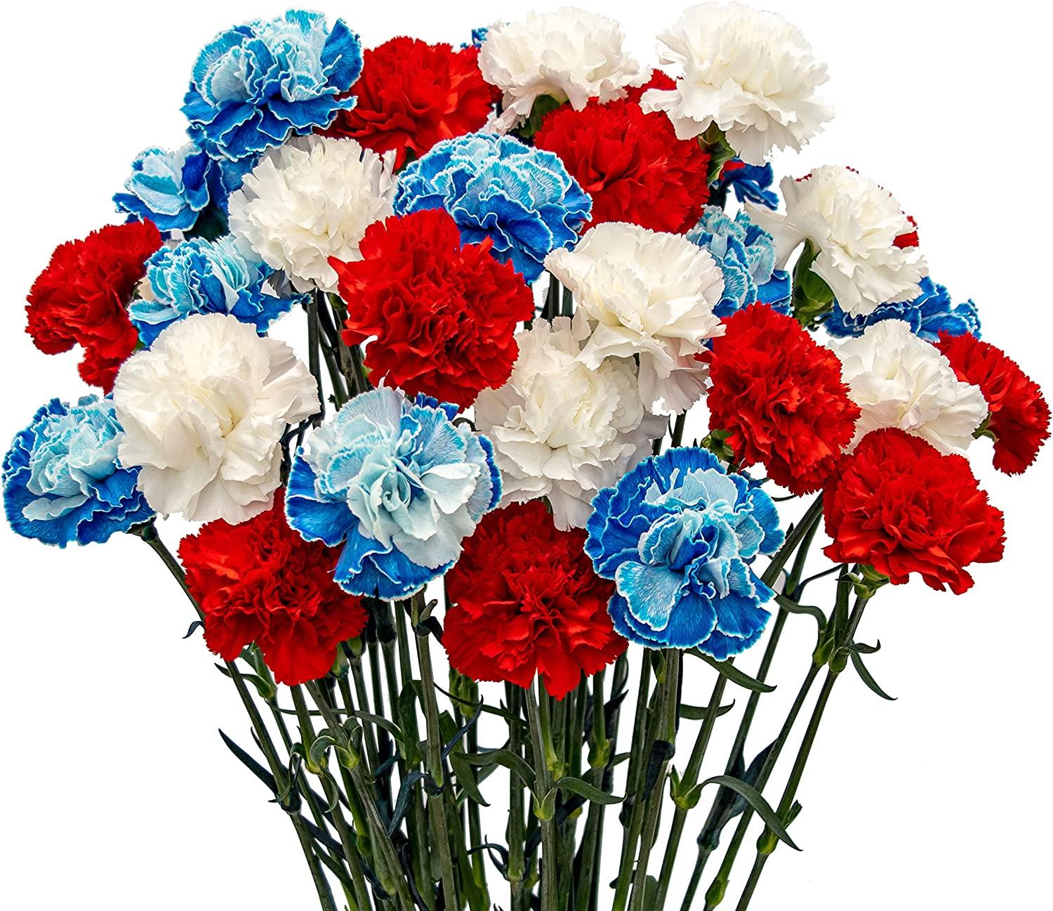 Red White and Blue Flower Wallpapers Top Free Red White and Blue