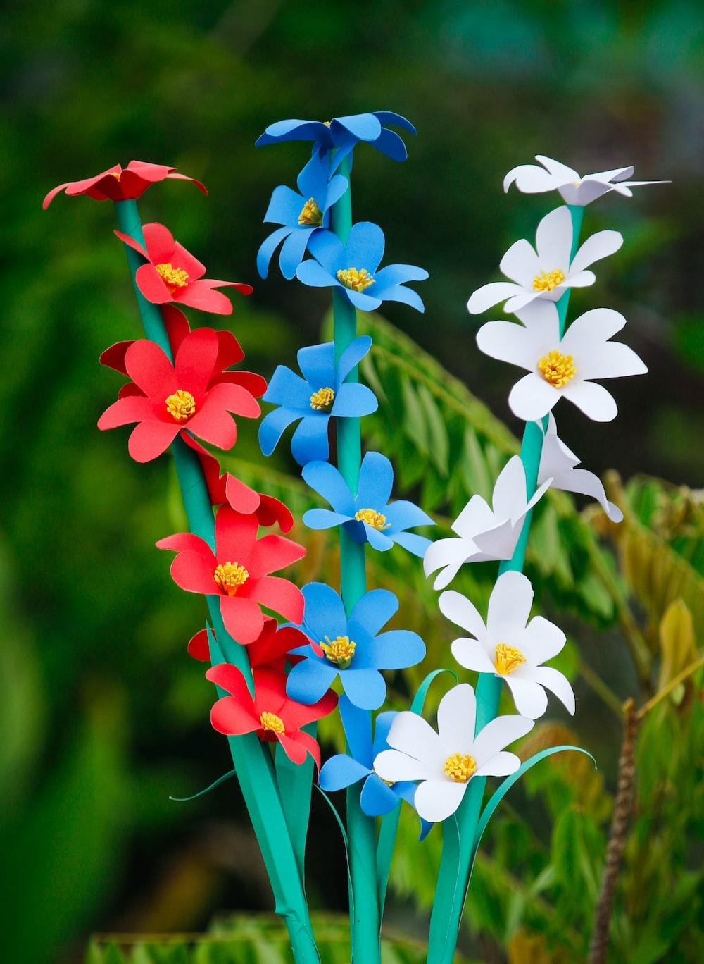 Red White and Blue Flower Wallpapers Top Free Red White and Blue