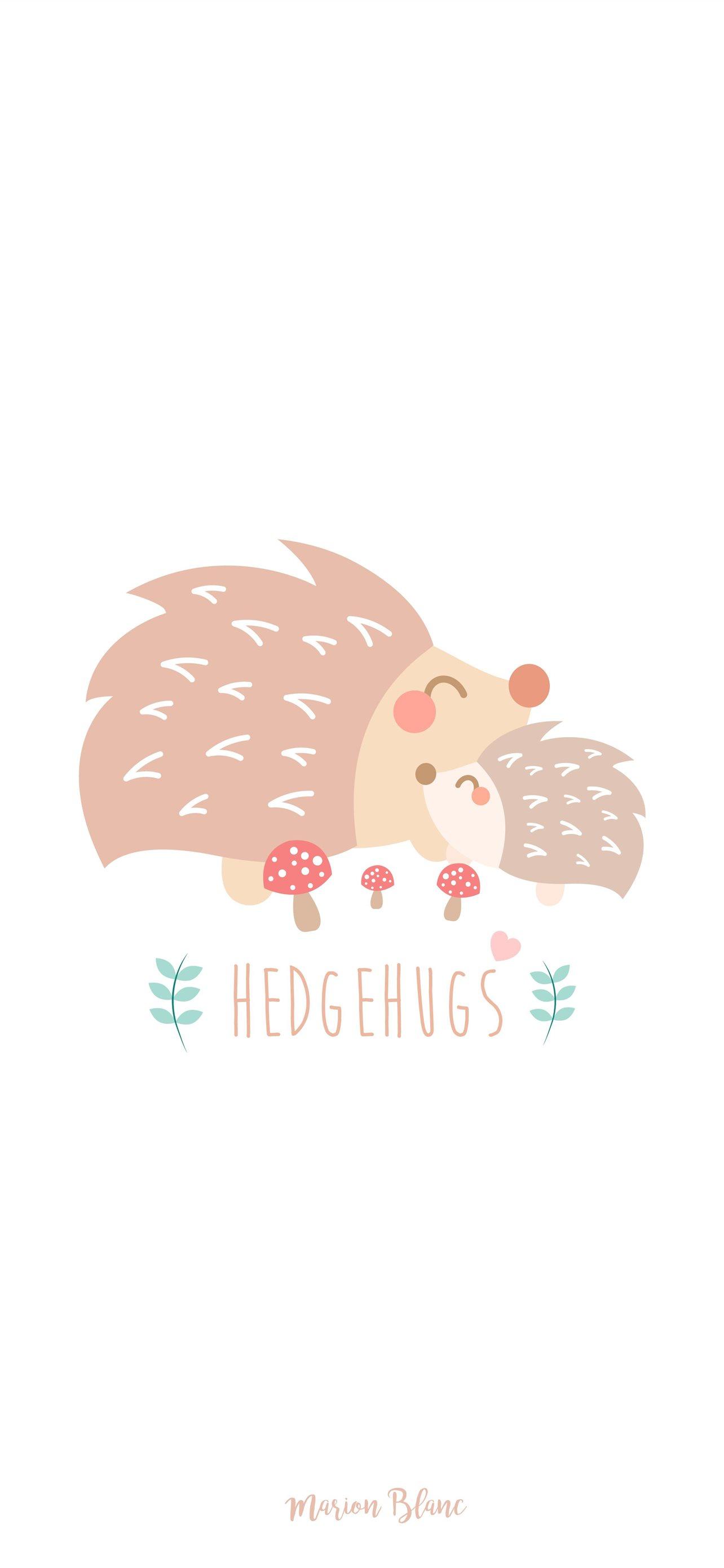 Cartoon Hedgehog Wallpapers Top Free Cartoon Hedgehog Backgrounds