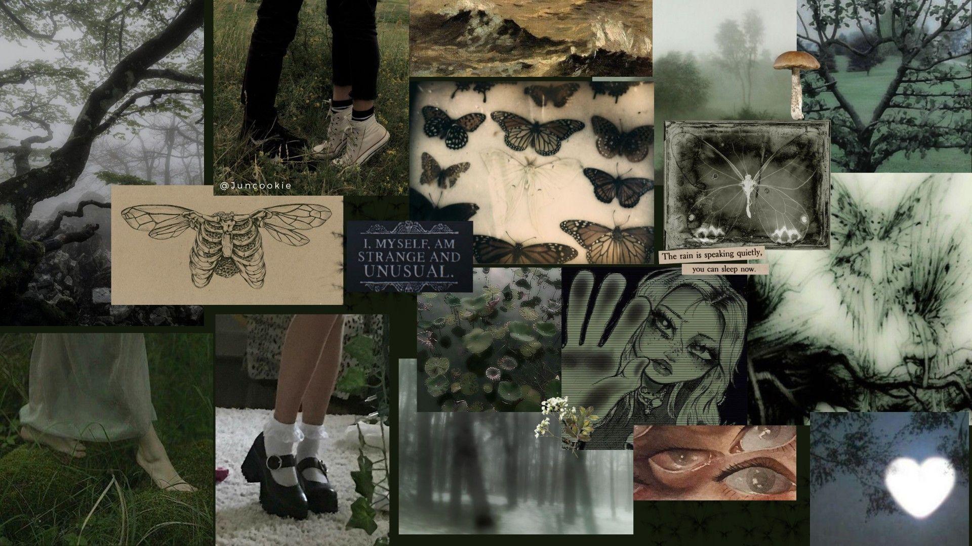 Fairy Aesthetic Desktop Wallpapers Top Free Fairy Aesthetic Desktop