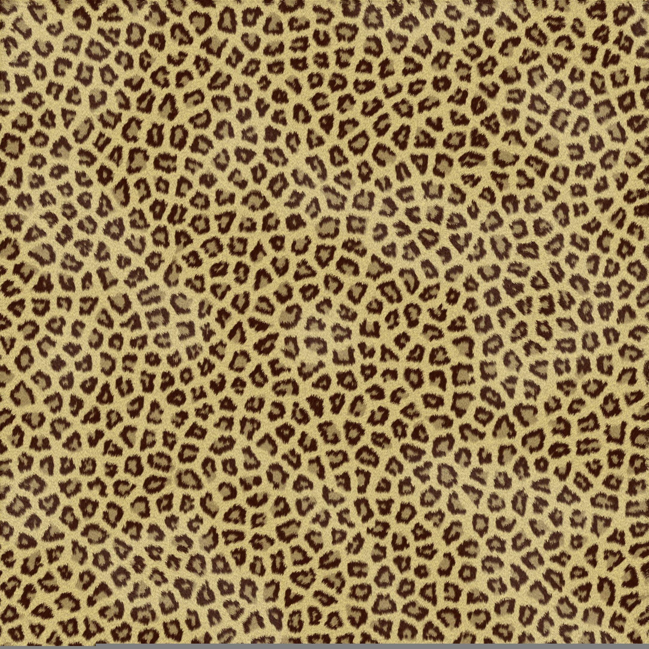 Animal Print Wallpapers Top Free Animal Print Backgrounds