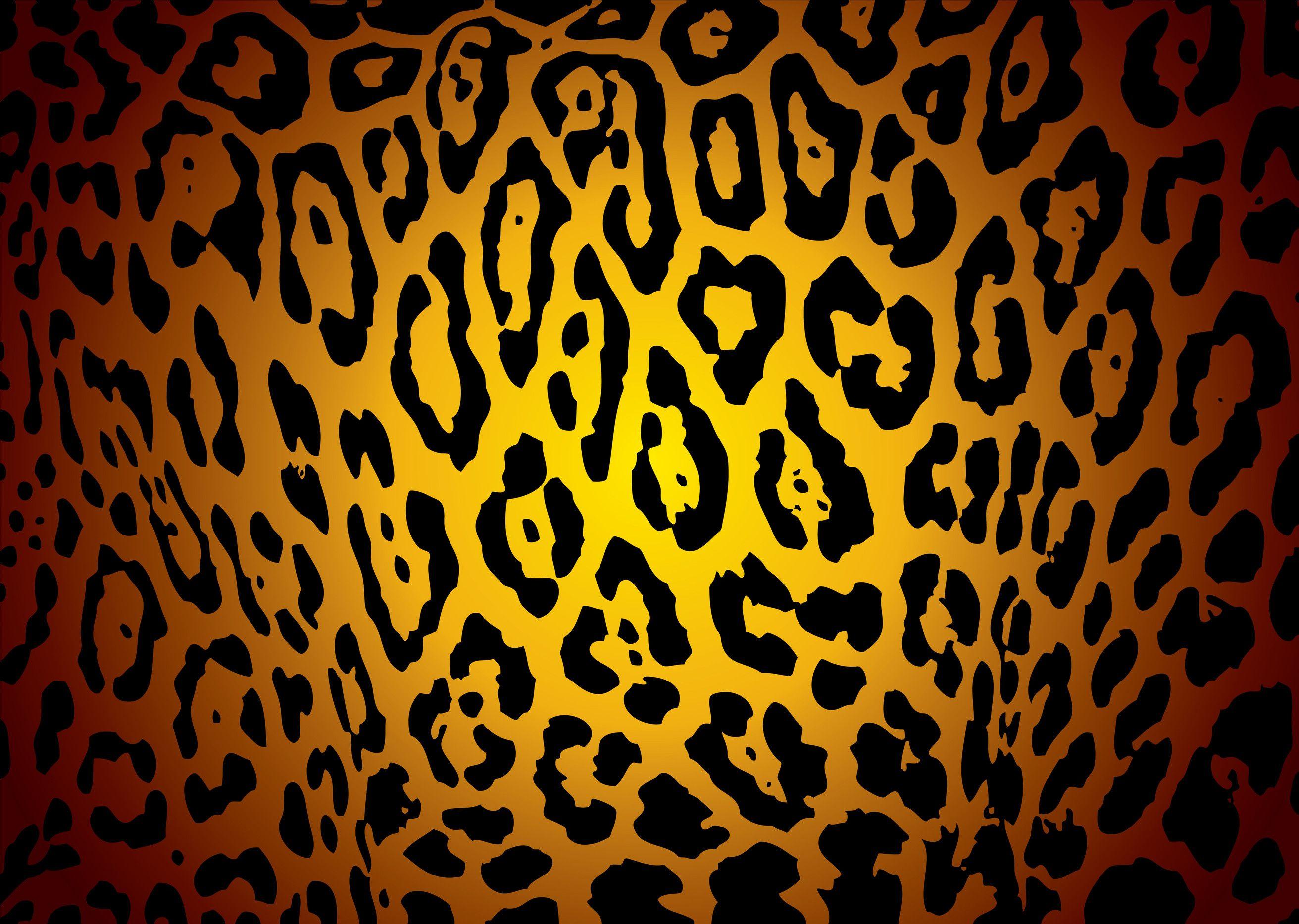Animal Print Wallpapers Top Free Animal Print Backgrounds