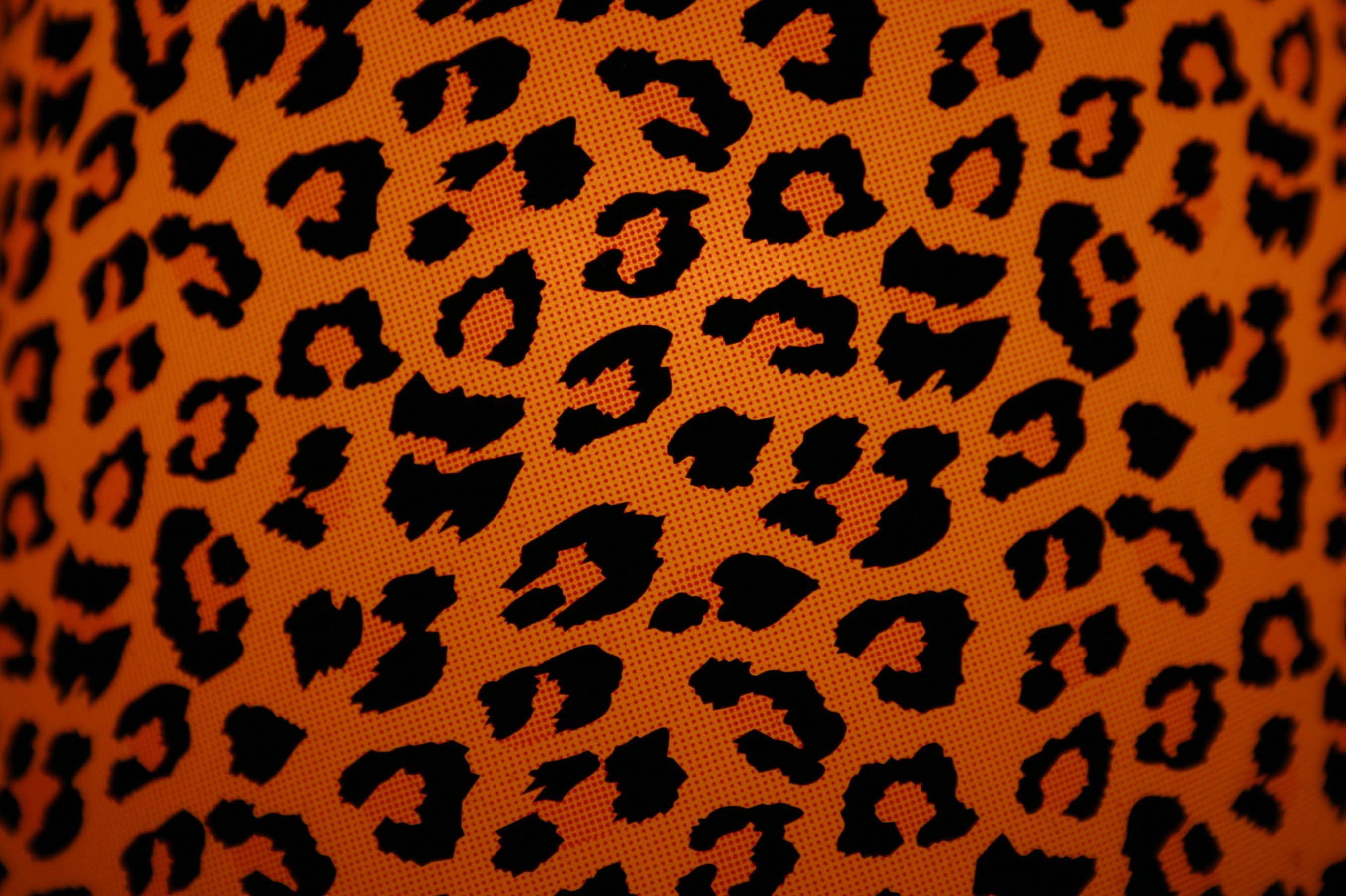 Animal Print Wallpapers Top Free Animal Print Backgrounds