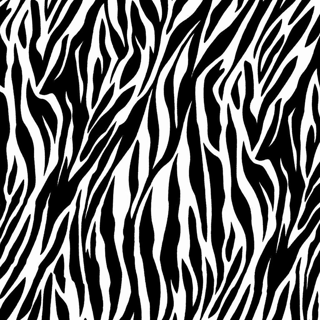 Animal Print Wallpapers Top Free Animal Print Backgrounds WallpaperAccess