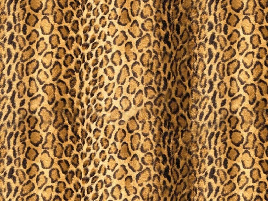 Animal Print Wallpapers Top Free Animal Print Backgrounds