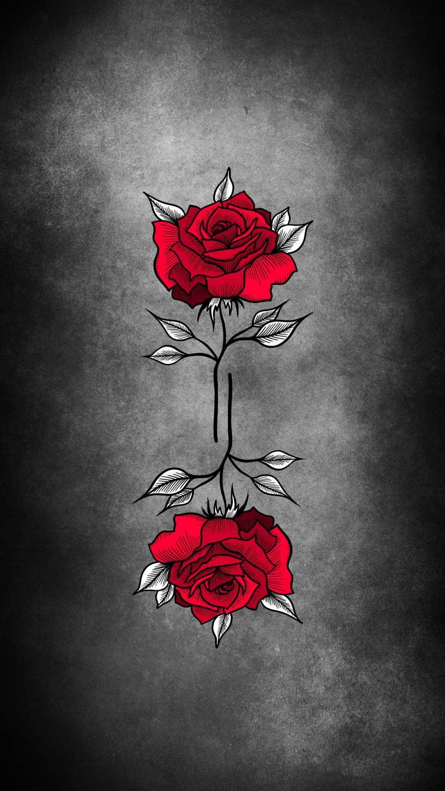 Dark Red Rose iPhone Wallpapers Top Free Dark Red Rose iPhone