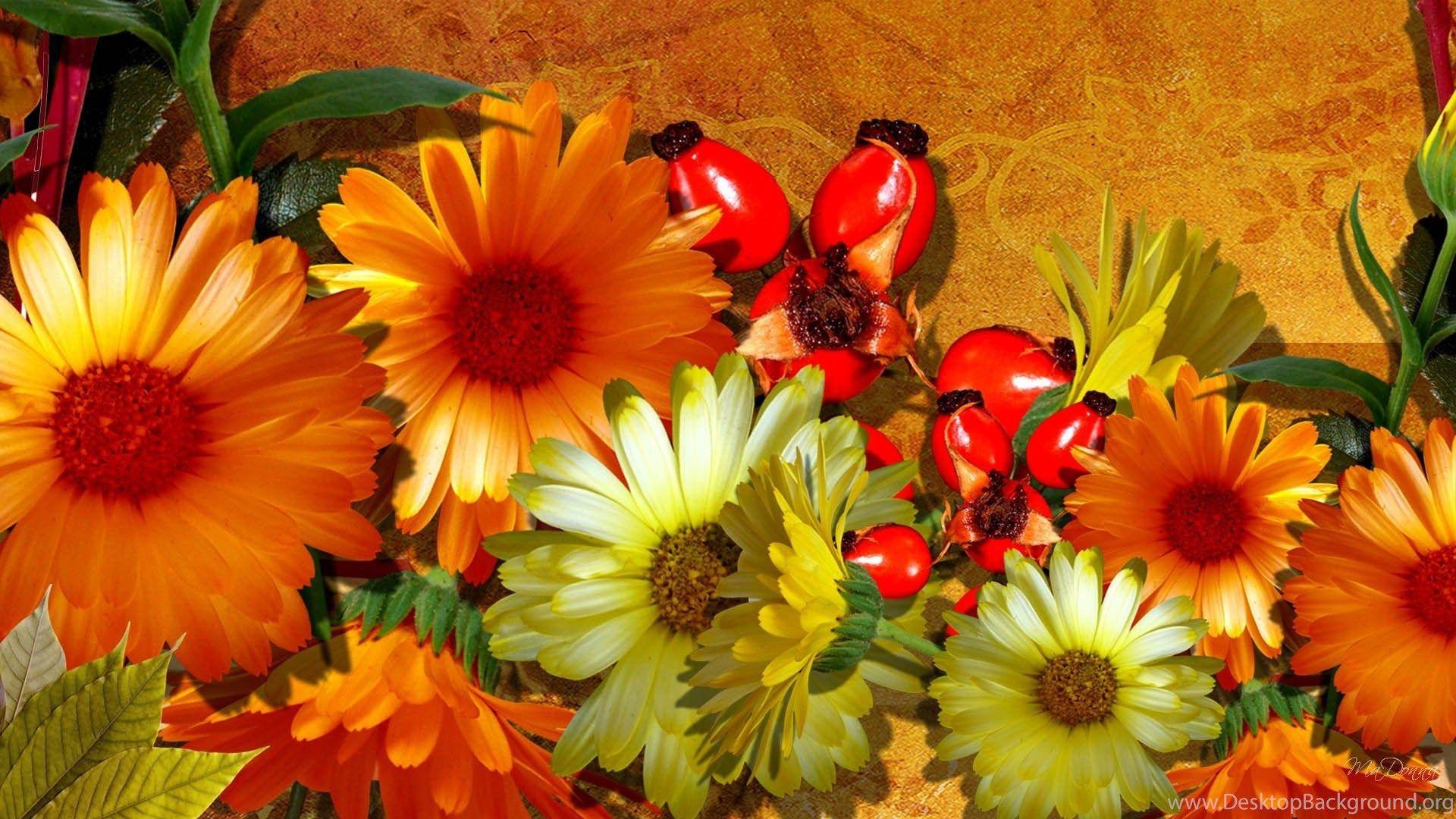 Fall Flowers Desktop Wallpapers Top Free Fall Flowers Desktop Backgrounds WallpaperAccess