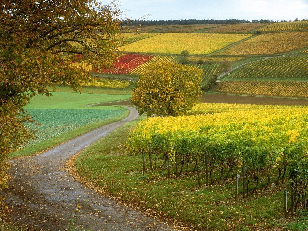 France Countryside Wallpapers Top Free France Countryside Backgrounds