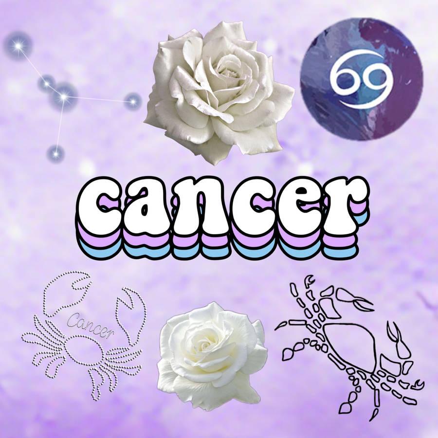 Cancer Aesthetic Zodiac Wallpapers Top Free Cancer Aesthetic Zodiac