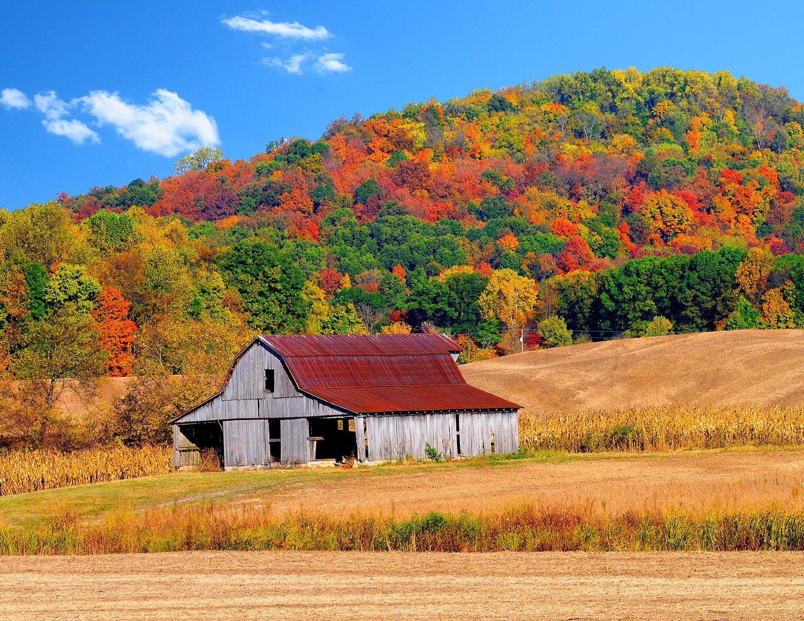 Autumn Barn Wallpapers Top Free Autumn Barn Backgrounds WallpaperAccess