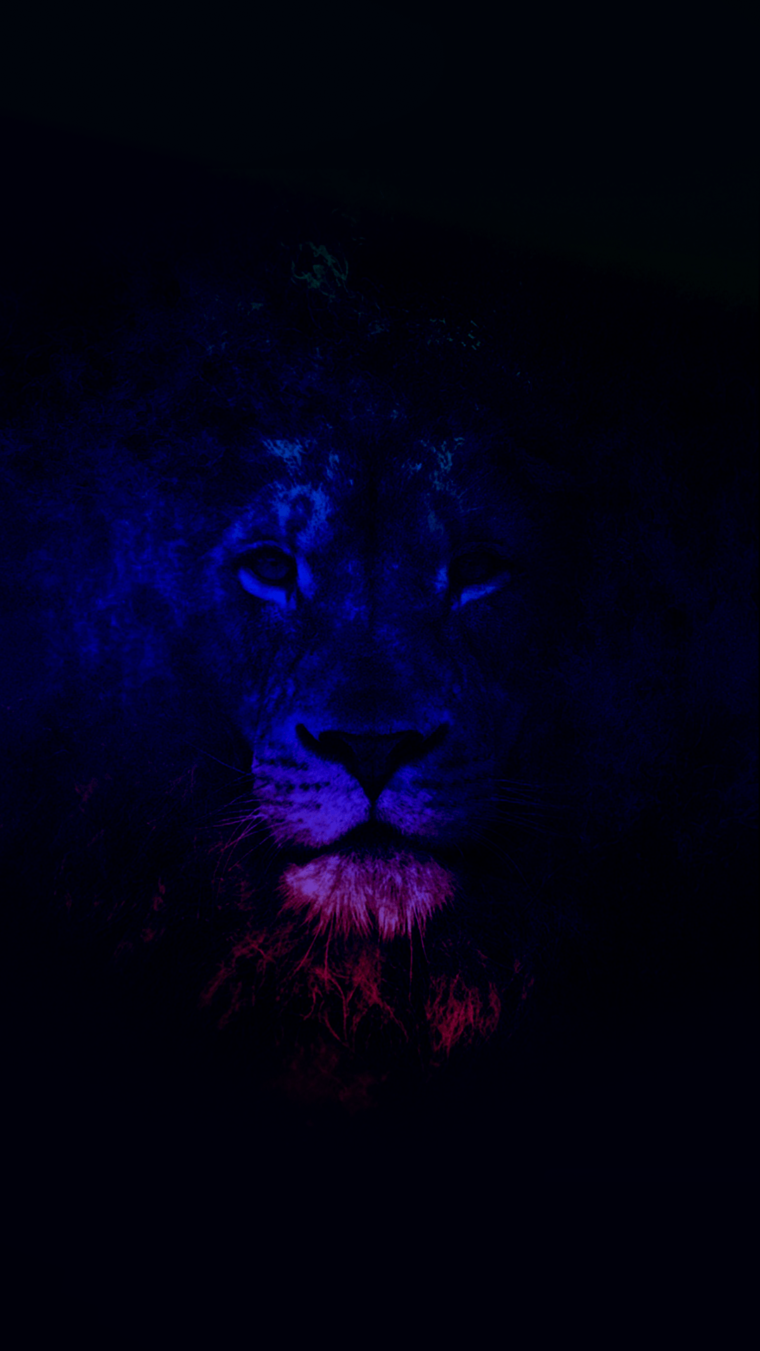 Lion iPhone Wallpapers Top Free Lion iPhone Backgrounds WallpaperAccess
