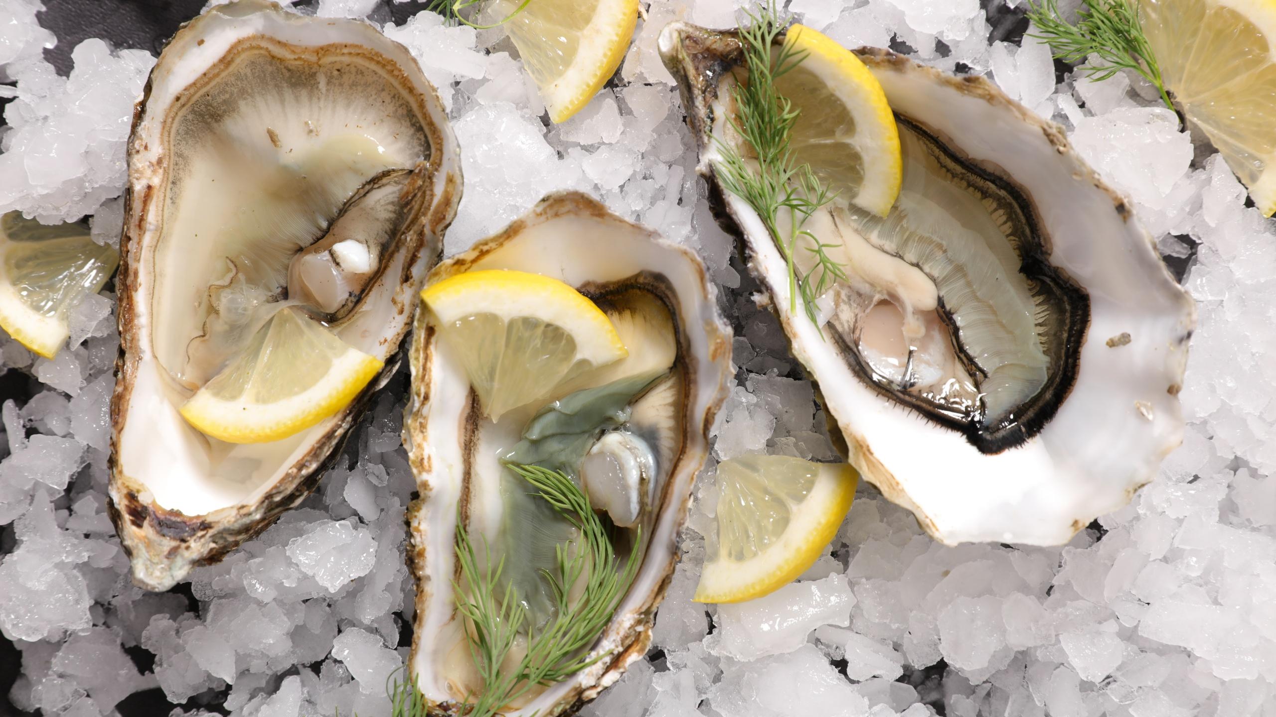 Oysters Wallpapers Top Free Oysters Backgrounds WallpaperAccess