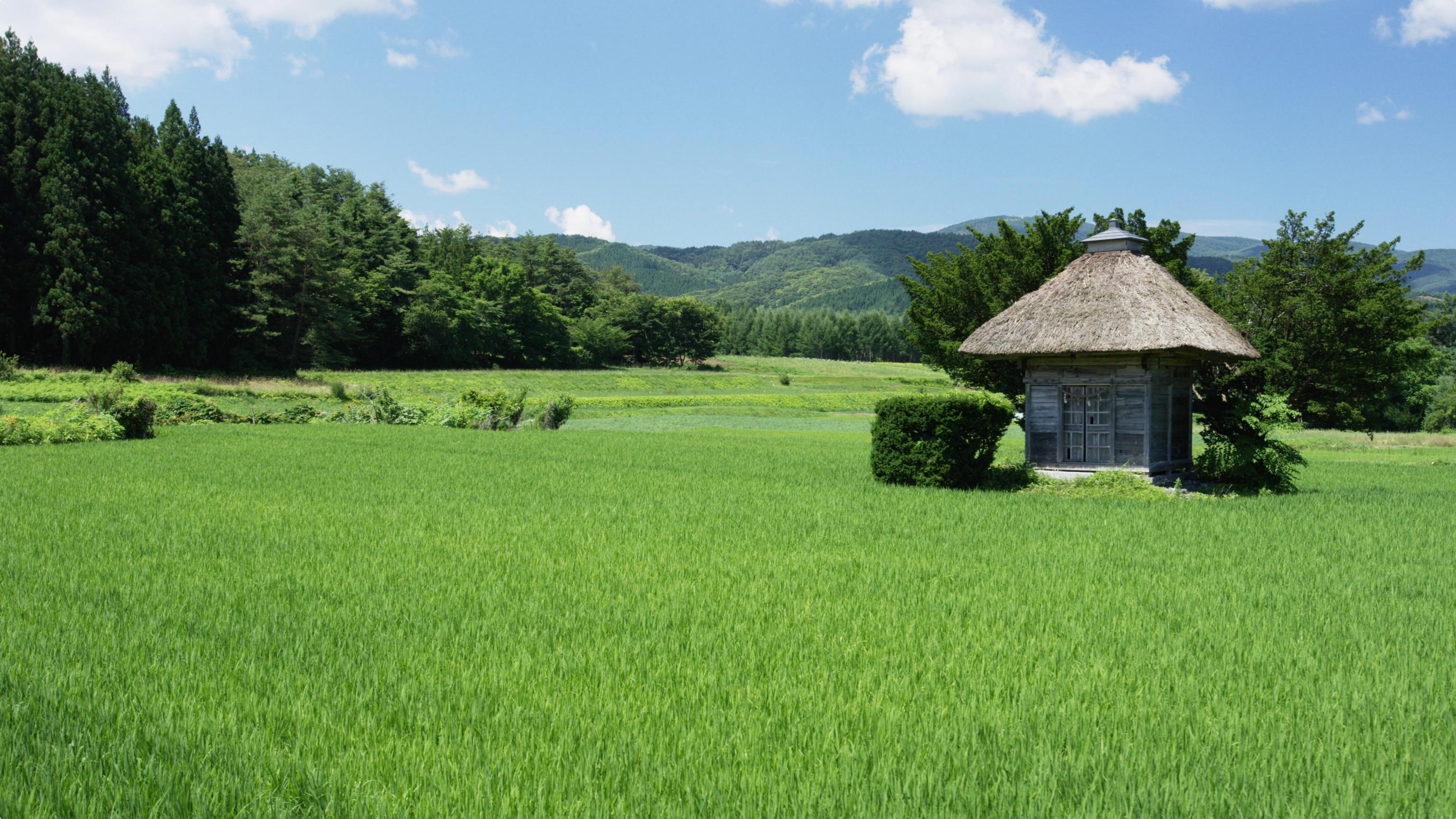 Rural Japan Wallpapers Top Free Rural Japan Backgrounds WallpaperAccess