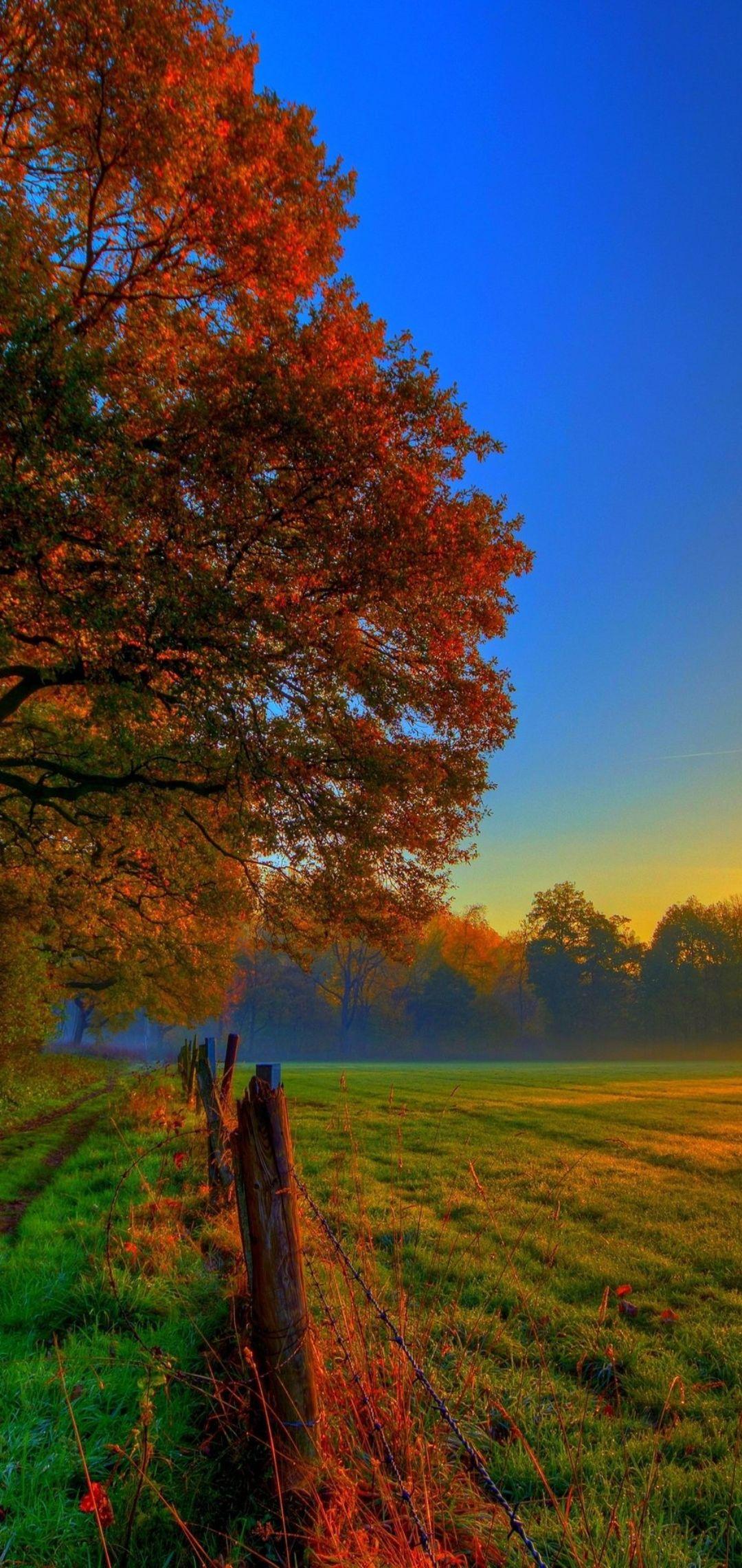 Autumn iPhone 11 Wallpapers Top Free Autumn iPhone 11 Backgrounds