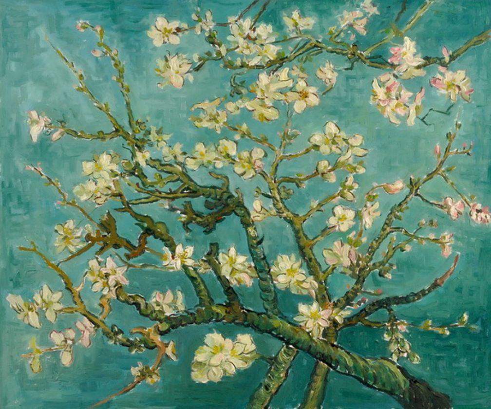 Vincent Van Gogh iPhone Wallpapers Top Free Vincent Van Gogh iPhone